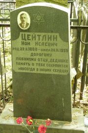 Цейтлин Ион Исаевич, Москва, Востряковское кладбище